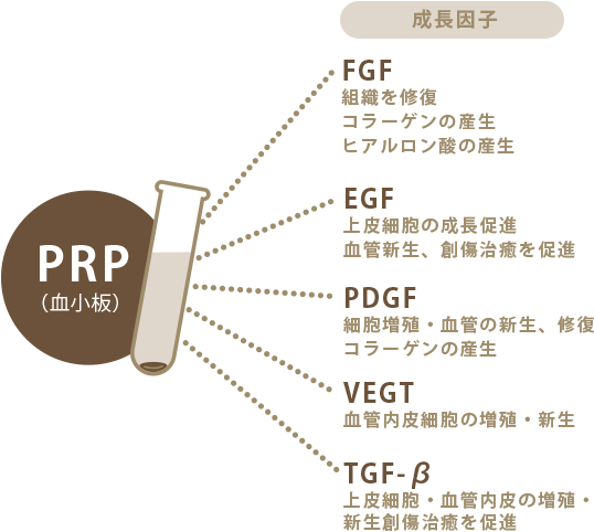 PRP（血小板）様々な成長因子を放出FGF　組織を修復　コラーゲン・ヒアルロン酸の産生EGF　上皮細胞の成長促進PDGF　細胞増殖　コラーゲンの産生VEGT　血管内皮細胞の増殖・新生TGT-β　上皮細胞・血管内皮膚の増殖