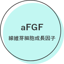 aFGF 線維芽細胞成長因子