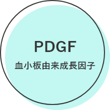 PDGF 血小板由来成長因子